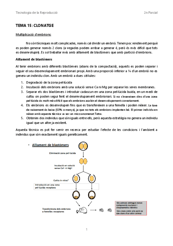 Miniatura del documento TR-Tema-15-Clonatge.pdf
