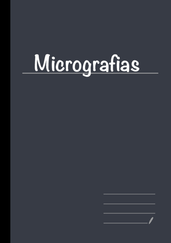 Miniatura del documento Micrografias-animal.pdf
