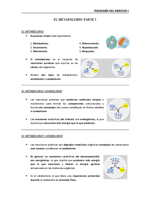 Miniatura del documento fisiologia-metabolismo-2.pdf