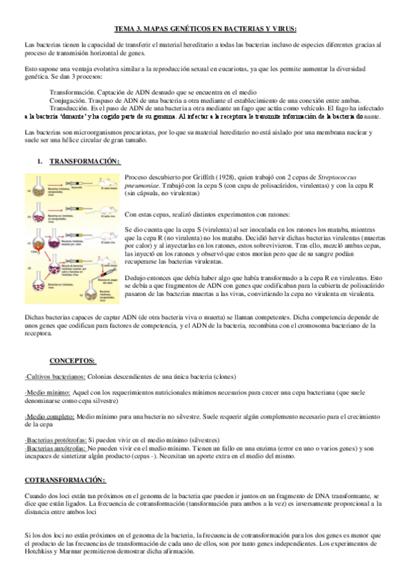 Miniatura del documento tema 3.-mapas geneticos bacterias y virus.pdf