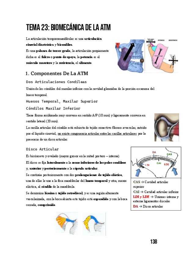 Miniatura del documento Tema-23-Biomecanica-De-La-ATM.pdf