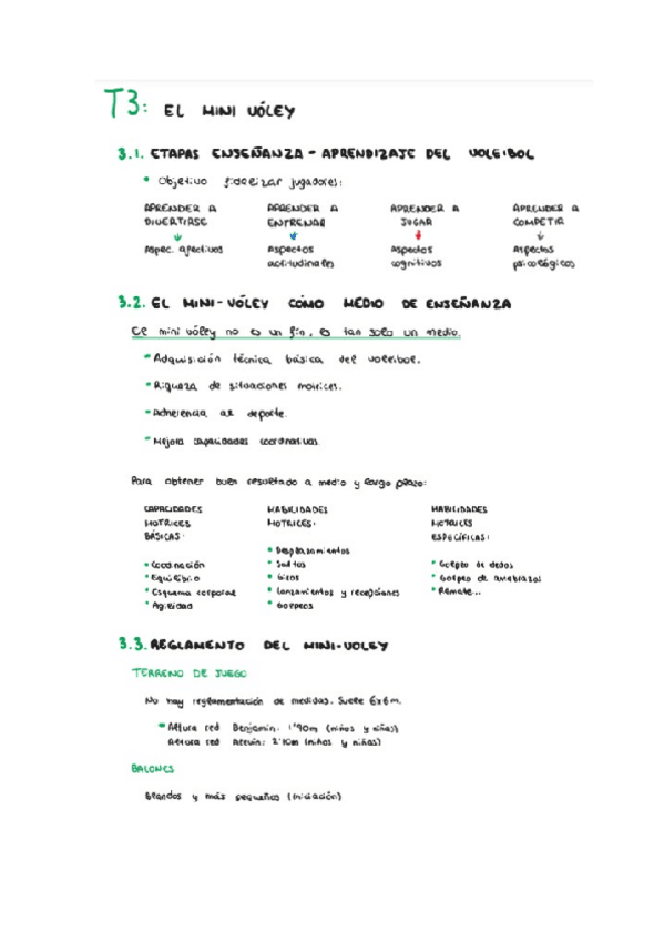 Miniatura del documento T3-voley.docx