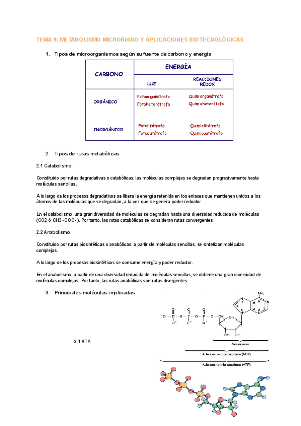 Miniatura del documento Tema-9-MICRO-2.pdf