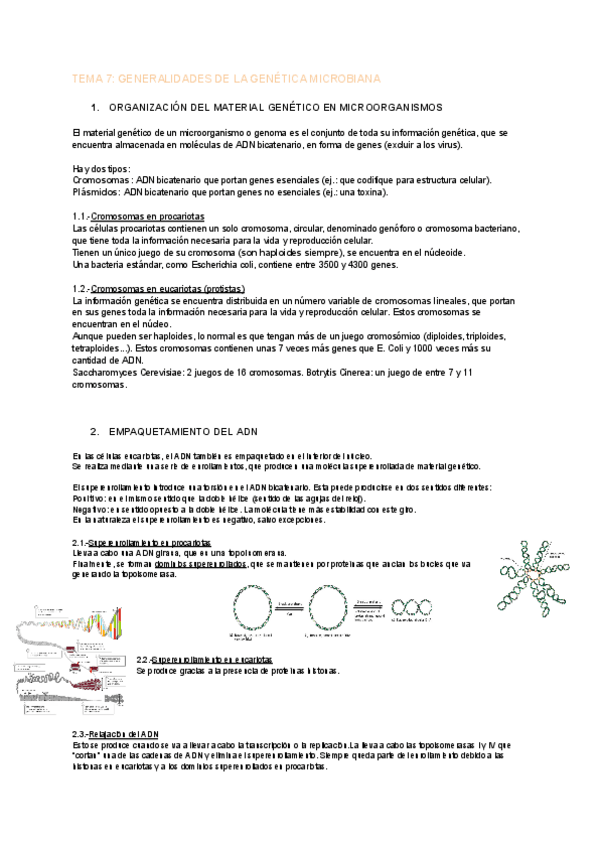 Miniatura del documento TEMA-7-MICRO-2.pdf