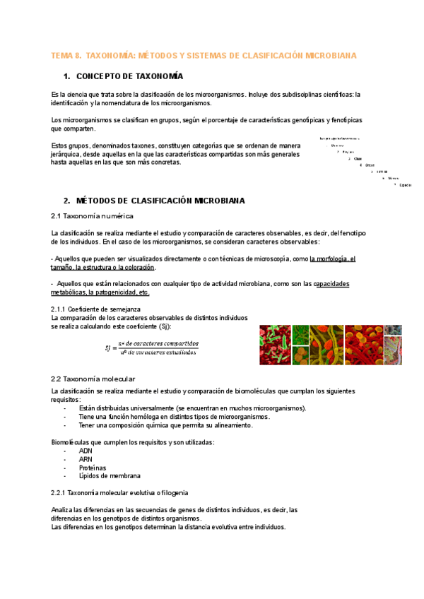 Miniatura del documento TEMA-8-MICRO.pdf