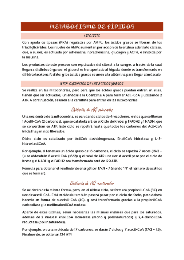 Miniatura del documento Metabolismo-de-lipidos.pdf