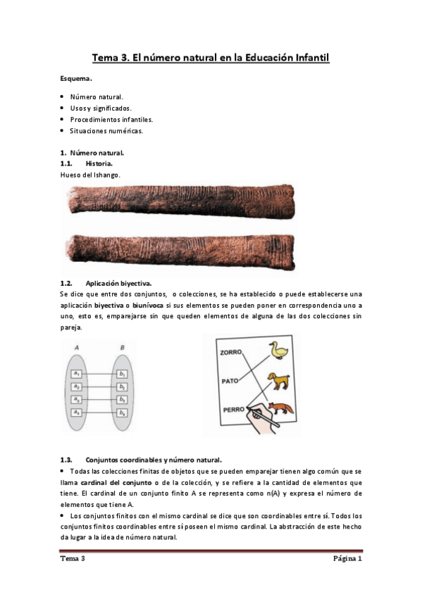 Miniatura del documento Tema-3.-El-numero-natural-en-la-Educacion-Infantil.pdf
