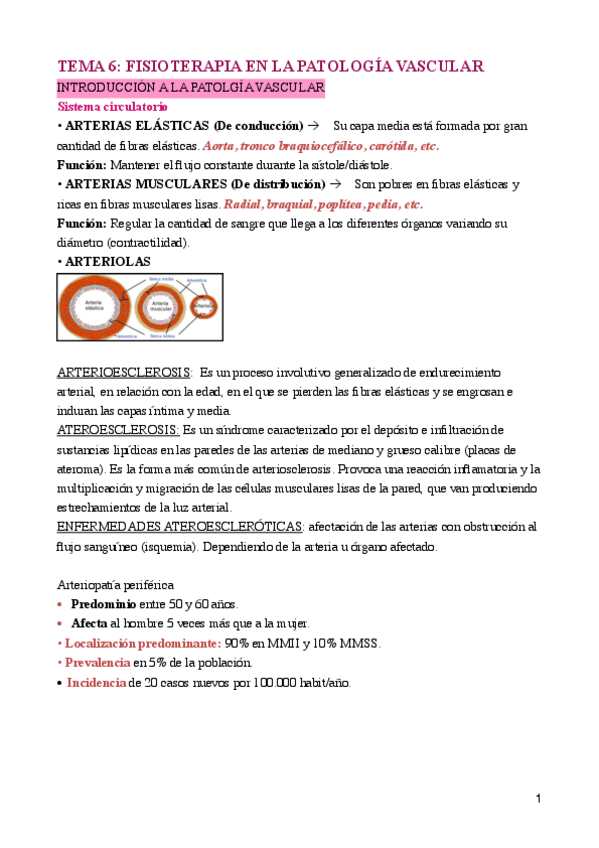 Miniatura del documento TEMA-6-Cardiopdf.pdf