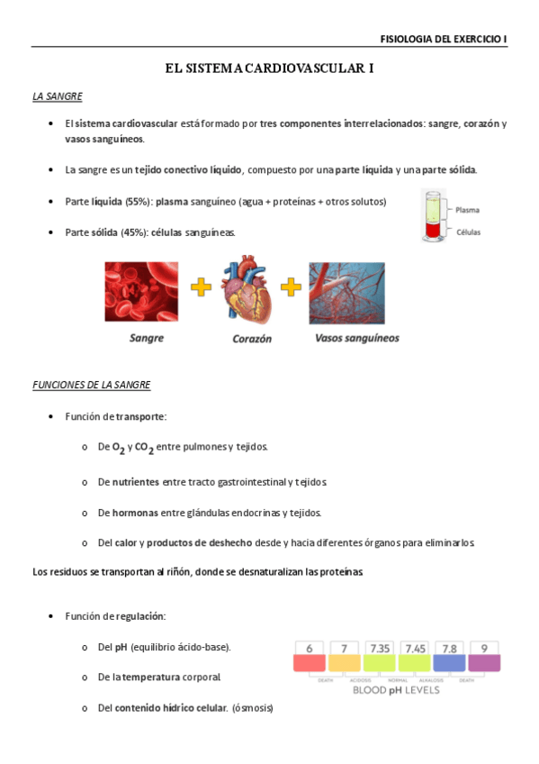 Miniatura del documento Fisiologia-de-lexercici-Sistema-cardiovascular-I.pdf