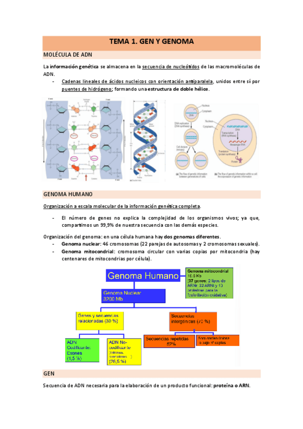Miniatura del documento Genetica.-Temario-Completo.pdf