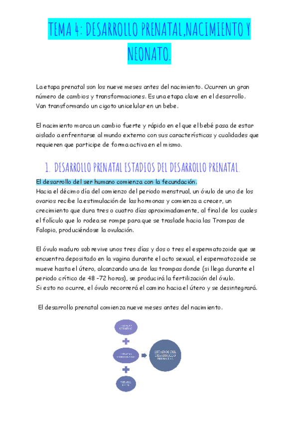 Miniatura del documento TEMA-4-DESARROLLO-PRENATAL-NACIMIENTO-Y-NEONATO.pdf