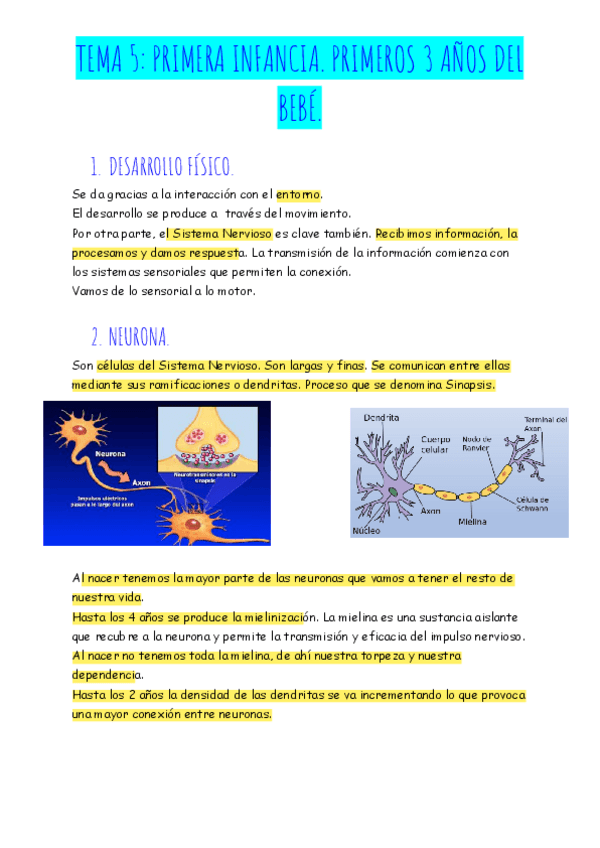 Miniatura del documento TEMA-5-PRIMERA-INFANCIA.-PRIMEROS-3-ANOS-DEL-BEBE..pdf