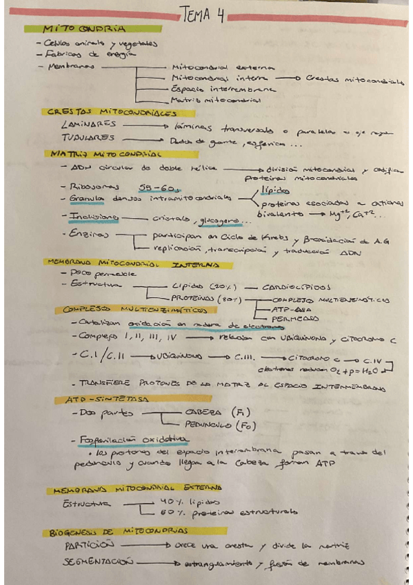 Miniatura del documento TEMA-4-BIOLOGIA-CELULAR.pdf