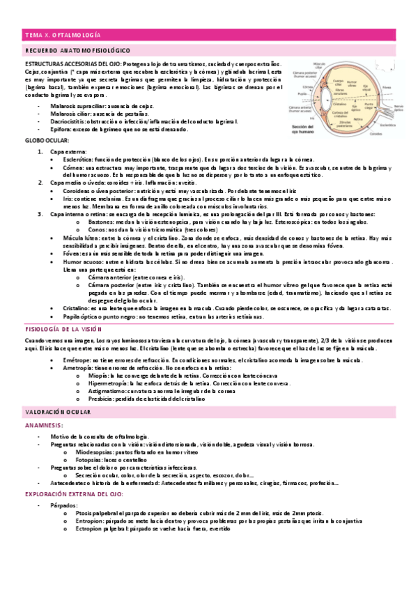 Miniatura del documento 19.-OFTALMOLOGIA.pdf