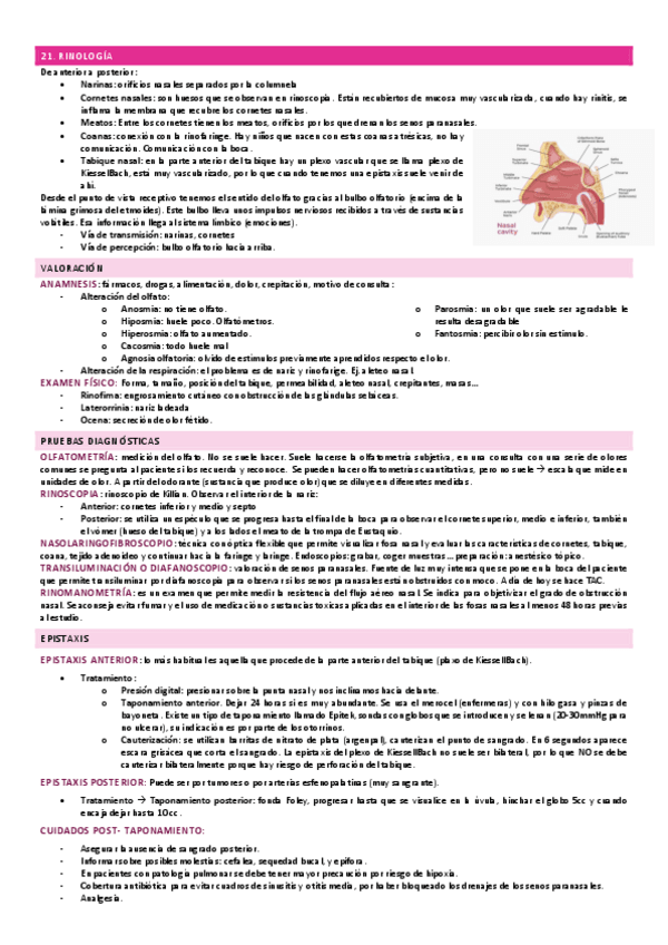 Miniatura del documento 21.-RINOLOGIA.pdf