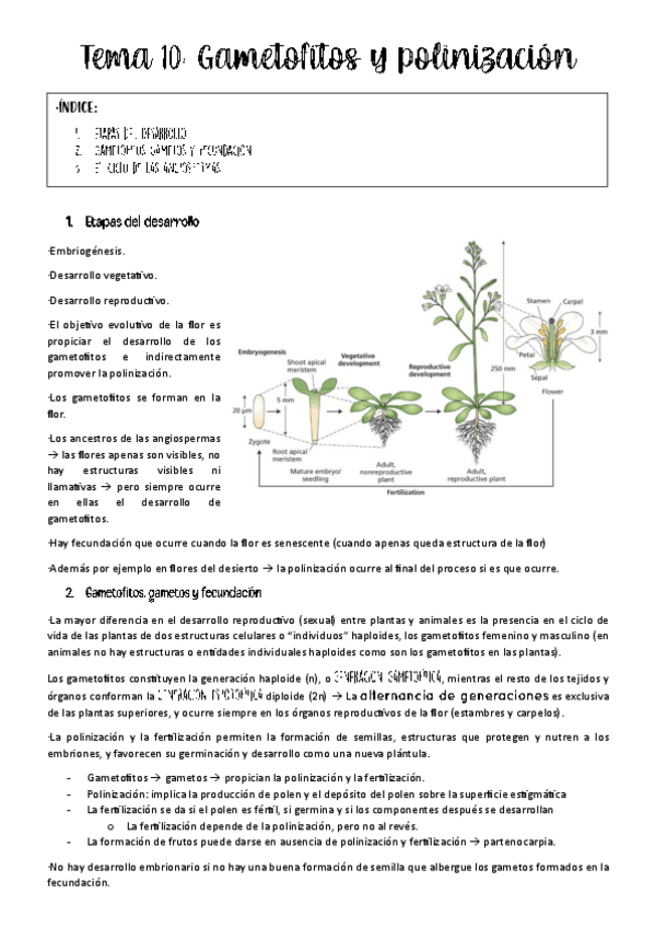 Miniatura del documento Tema-10-bases.pdf