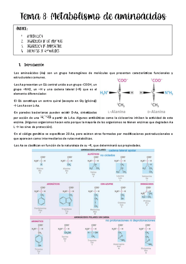 Miniatura del documento Tema-8-metabolismo.pdf