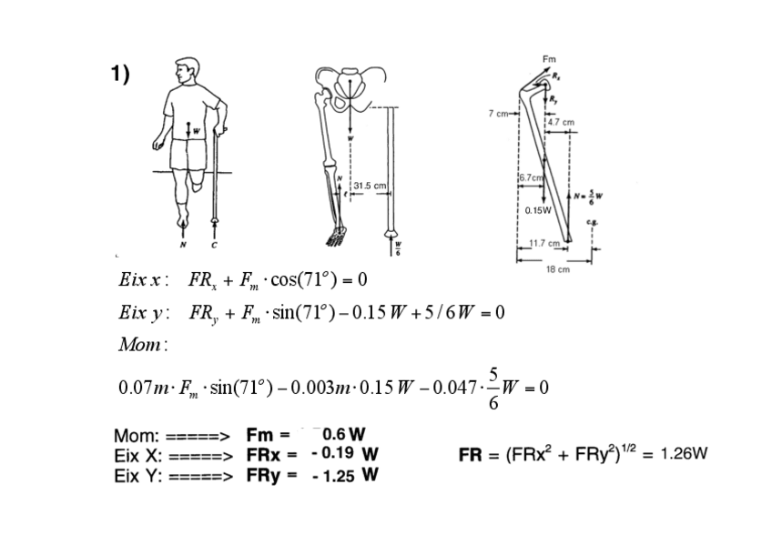 Miniatura del documento solucions-per-fer-al-laboratori.pdf