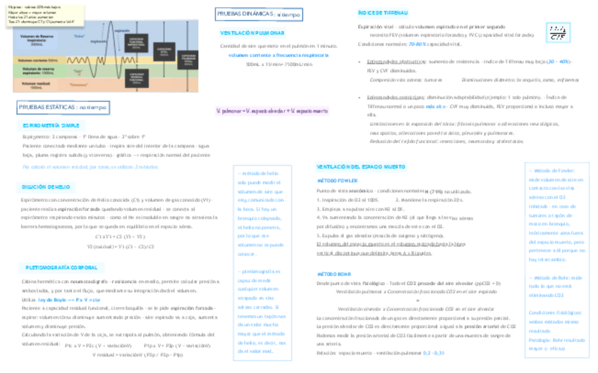 Miniatura del documento T11.Ventilacion-Pulmonar-1-pagina.pdf