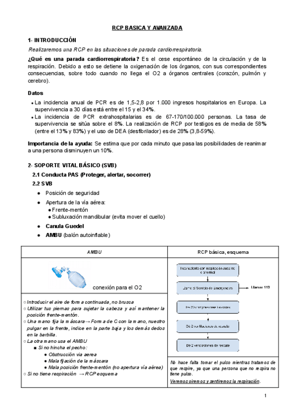 Miniatura del documento Seminario.-RCP-E-INMOVILIZACION.-Soporte-Vital-Avanzado.pdf