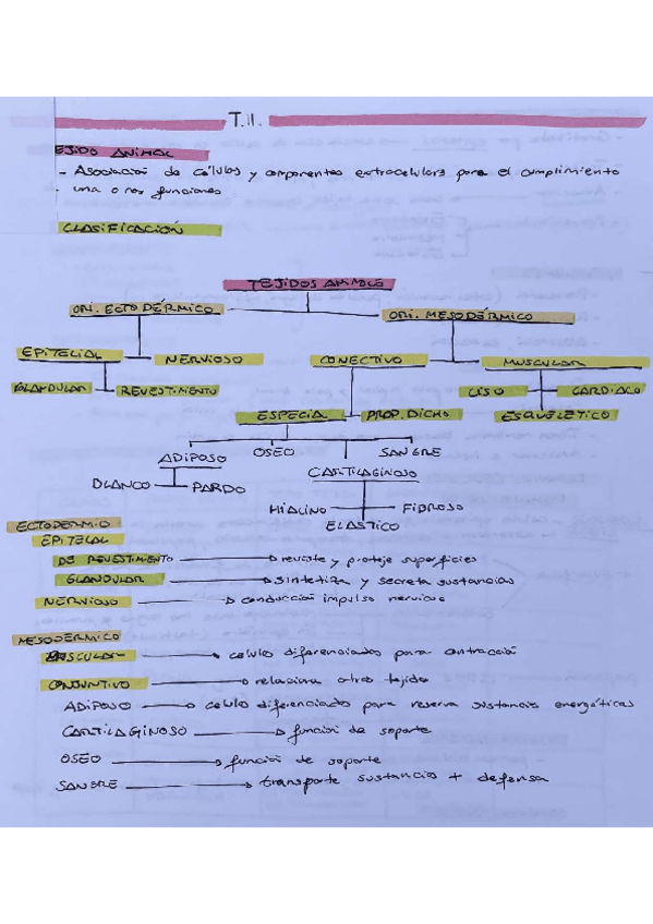 Miniatura del documento TEMA-11-BIOLOGIA-CELULAR.pdf