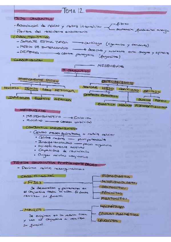 Miniatura del documento TEMA-12-BIOLOGIA-CELULAR.pdf