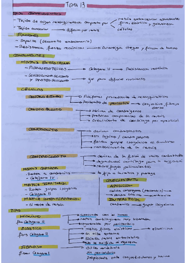 Miniatura del documento TEMA-13-BIOLOGIA-CELULAR.pdf