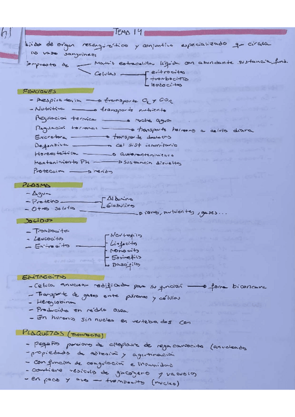 Miniatura del documento TEMA-14-BIOLOGIA-CELULAR.pdf