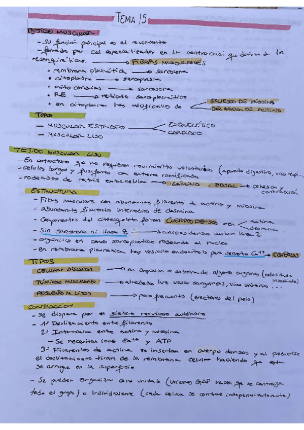 Miniatura del documento TEMA-15-BIOLOGIA-CELULAR.pdf