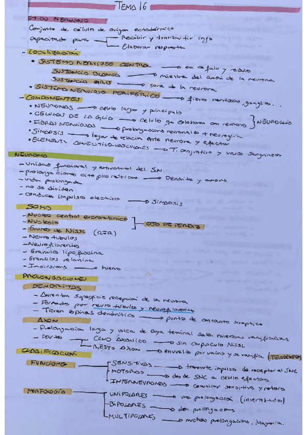 Miniatura del documento TEMA-16-BIOLOGIA-CELULAR.pdf
