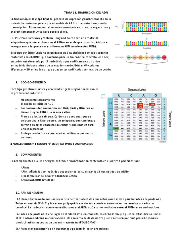Miniatura del documento TEMA-11-PROCESOS-III.pdf