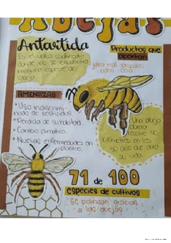 Miniatura del documento Las-Abejas.pdf