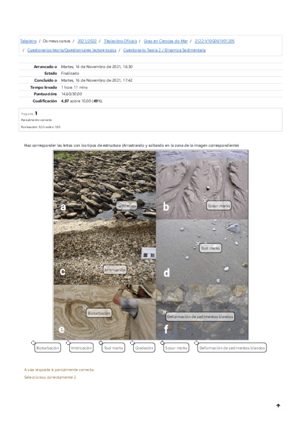 Miniatura del documento Cuestionario-Teoria-2--Dinamica-Sedimentaria-Revision-do-intento.pdf