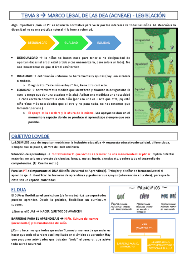 Miniatura del documento TEMA-3-MARCO-LEGAL-DEA-ACNEAE.pdf