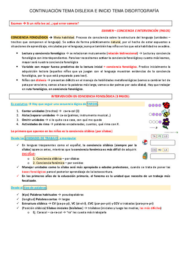 Miniatura del documento TEMA-5.-PARTE-B-CONCIENCIA-FONOLOGICA-Y-NEUROLOGIA.pdf