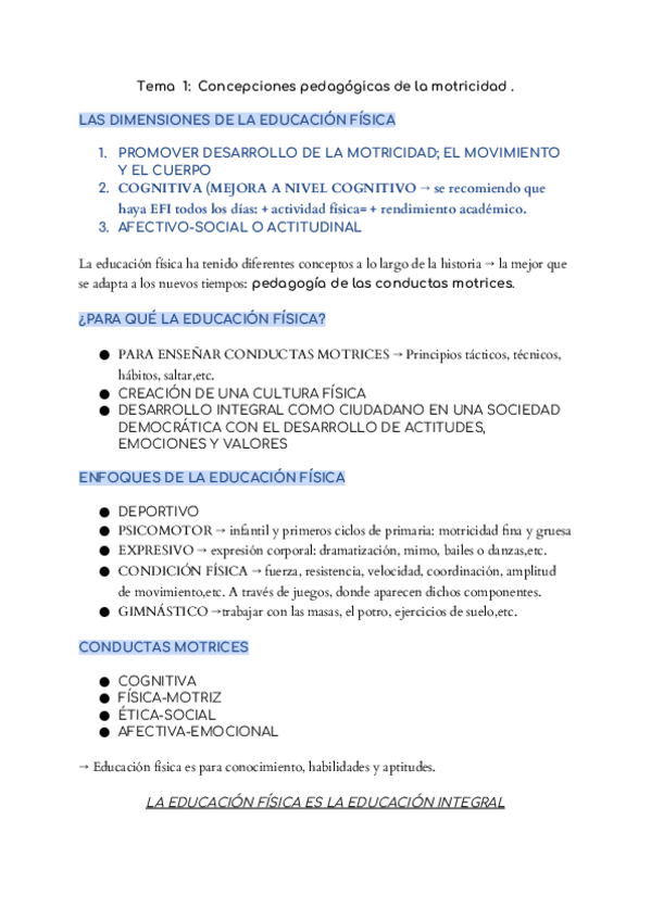 Miniatura del documento TEMAS-INICIALES-EFI.docx