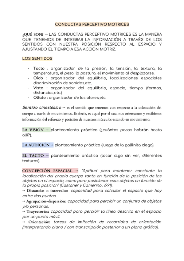 Miniatura del documento CONDUCTAS-PERCEPTIVO-MOTRICES.docx