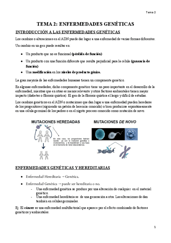 Miniatura del documento gen-2.pdf