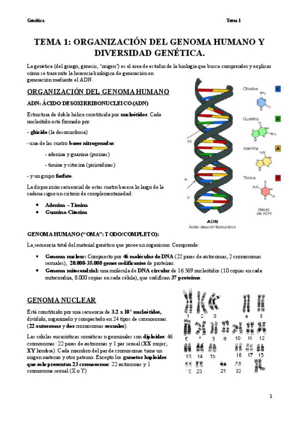 Miniatura del documento gen-1.pdf
