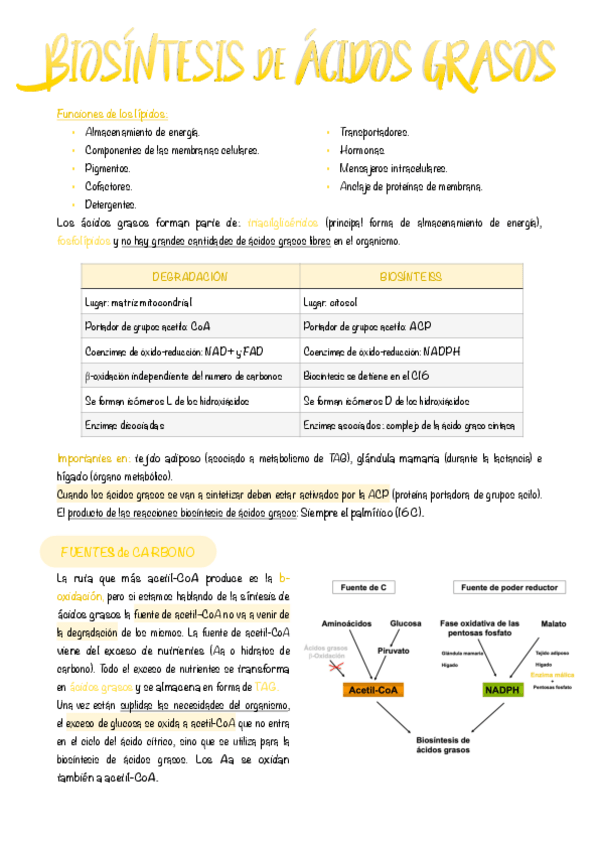Miniatura del documento 9.-Biosintesis-de-acidos-grasos.pdf