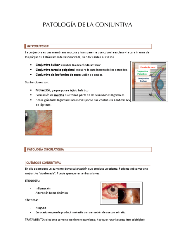 Miniatura del documento PATOLOGIA-DE-LA-CONJUNTIVA.pdf