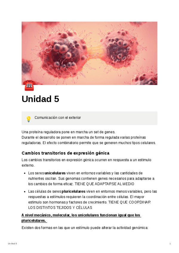 Miniatura del documento Unidad-5-Comunicacion-con-el-exterior.pdf