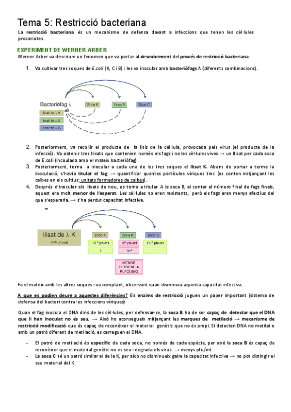 Miniatura del documento 2n-parcial-bmp.pdf