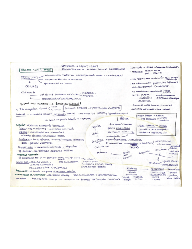 Miniatura del documento esquemes-idees-clau.pdf