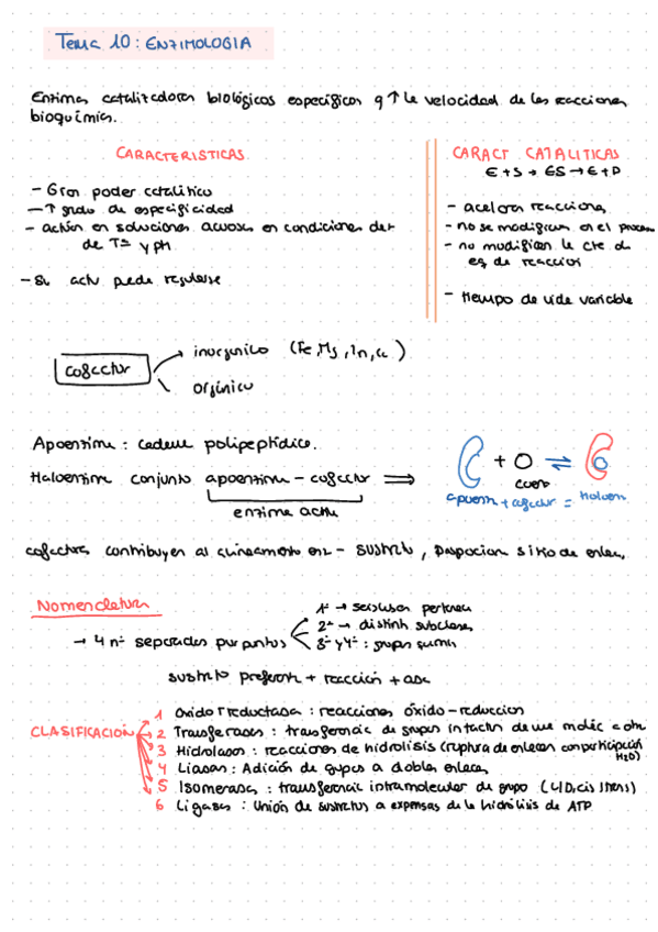 Miniatura del documento Metabolismo-resumen.pdf
