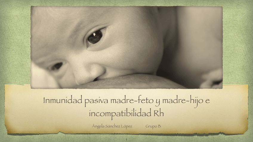 Miniatura del documento EXPOSICION-INMUNIDAD-PASIVA-MADRE-FETO-Y-MADRE-HIJO-E-INCOMPATIBILIDAD-RH-ANGELA-SANCHEZ.pdf