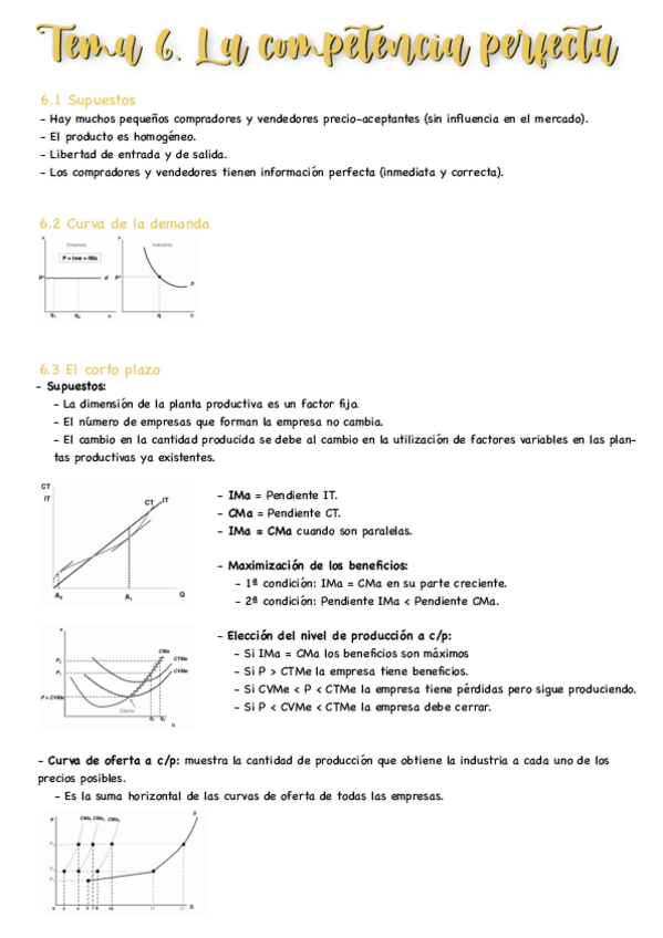 Miniatura del documento T6-Microeconomia.pdf