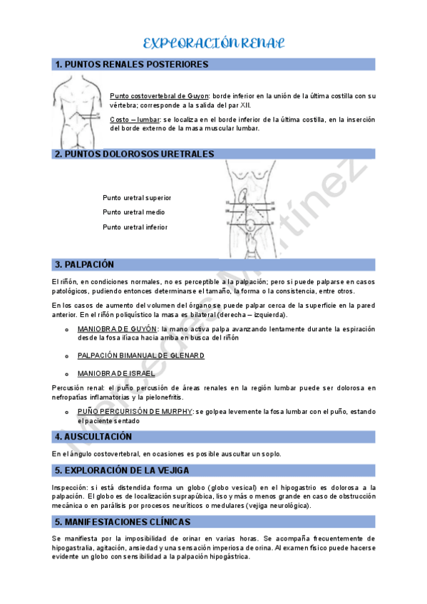 Miniatura del documento EXPLORACION-RENAL.pdf