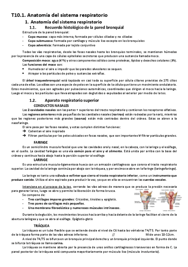 Miniatura del documento T10.-Cardiorespi.pdf