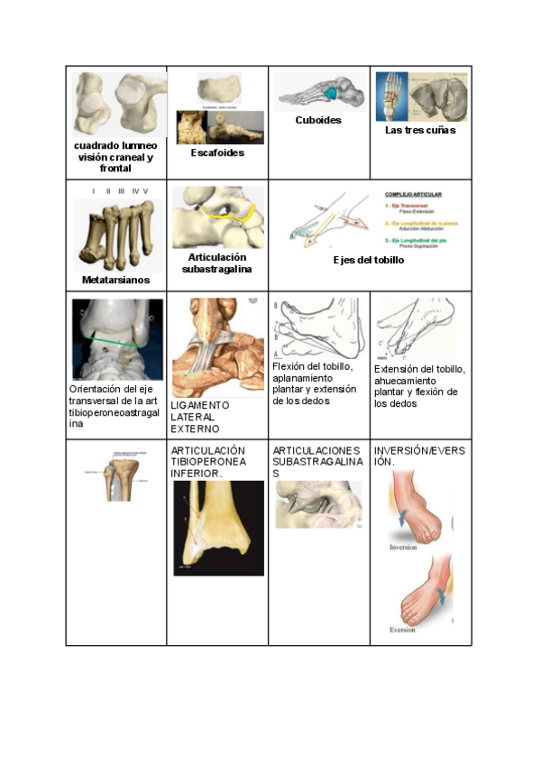 Miniatura del documento parcial-5-tema-38-a-56-fotos.pdf